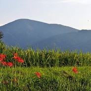 地方の介護現場を完全に無視した高齢者の「移住」提言